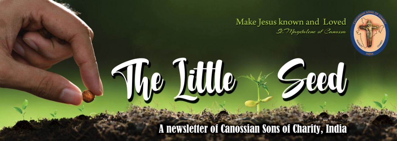 The Little Seed Newsletter